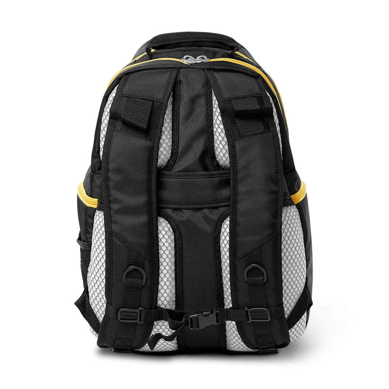Minnesota Vikings 2 Piece Premium Colored Trim Backpack and Luggage Set